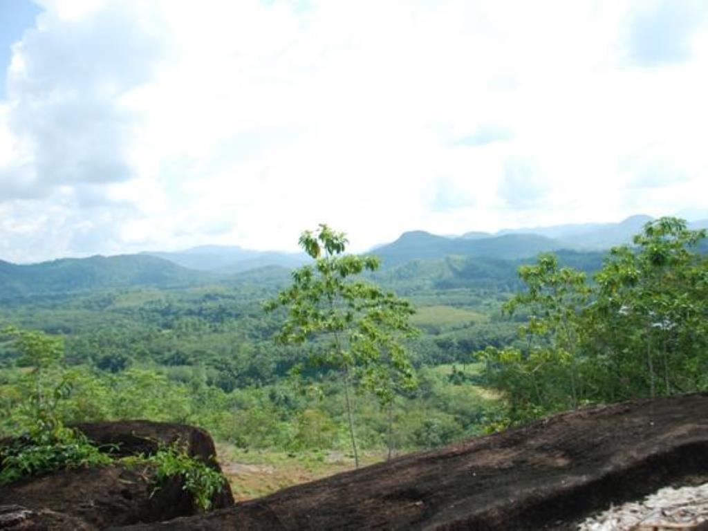 Nature Lovers Resort Ingiriya Exterior photo